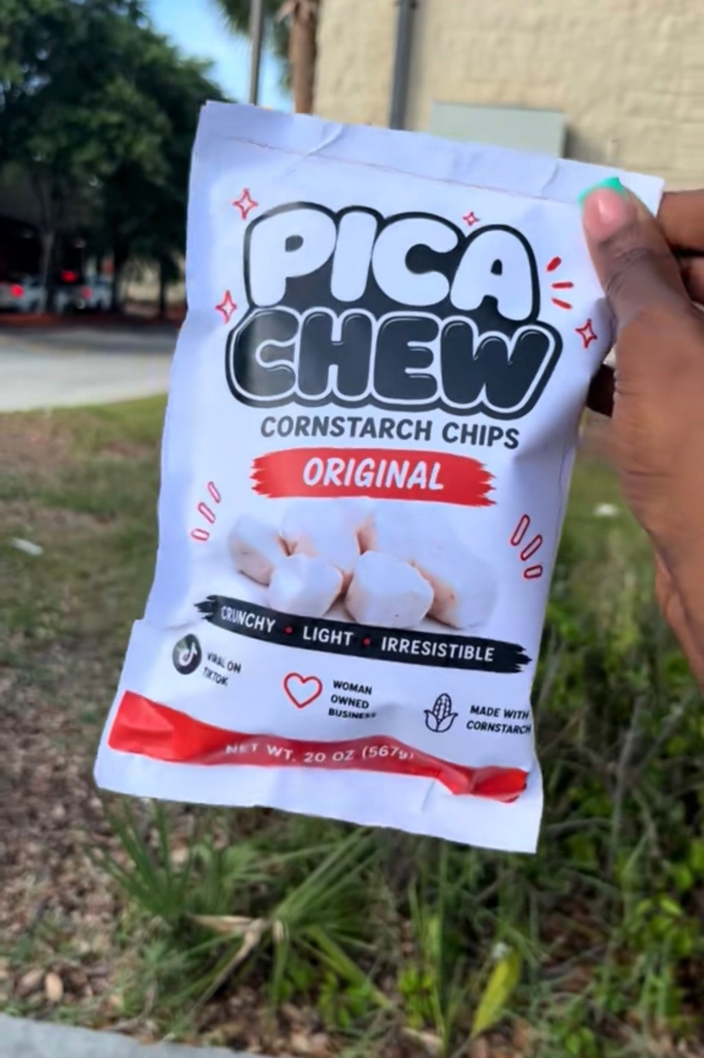 Pica Chew Cornstarch Chips